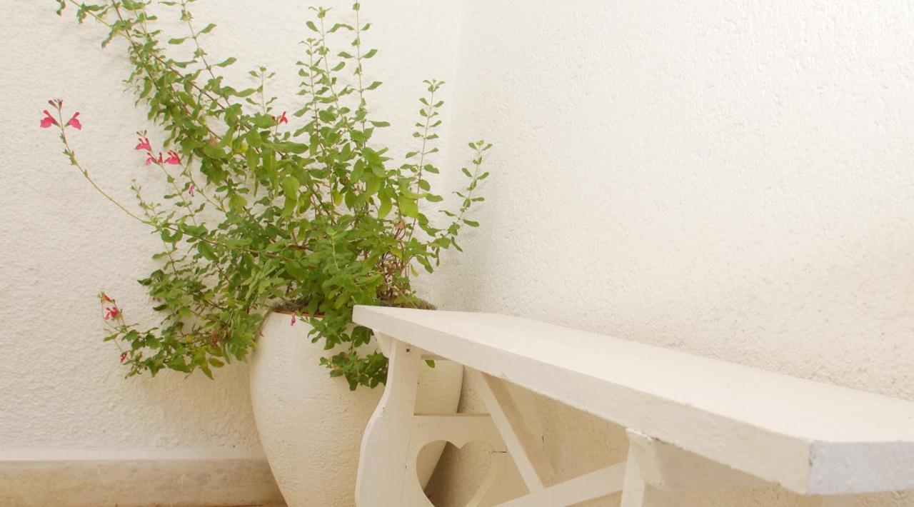 Luna 2 Porec Ngoại thất bức ảnh